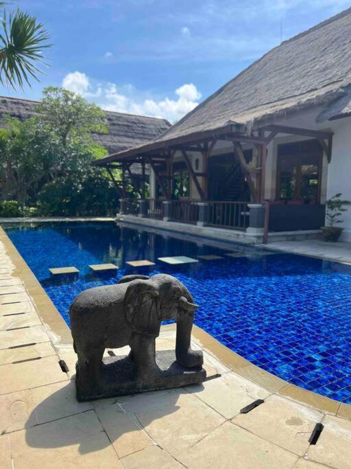 Bali Berg Villa, Sanur Экстерьер фото